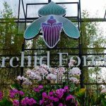 Wisata Orchid Forest Cikole Lembang